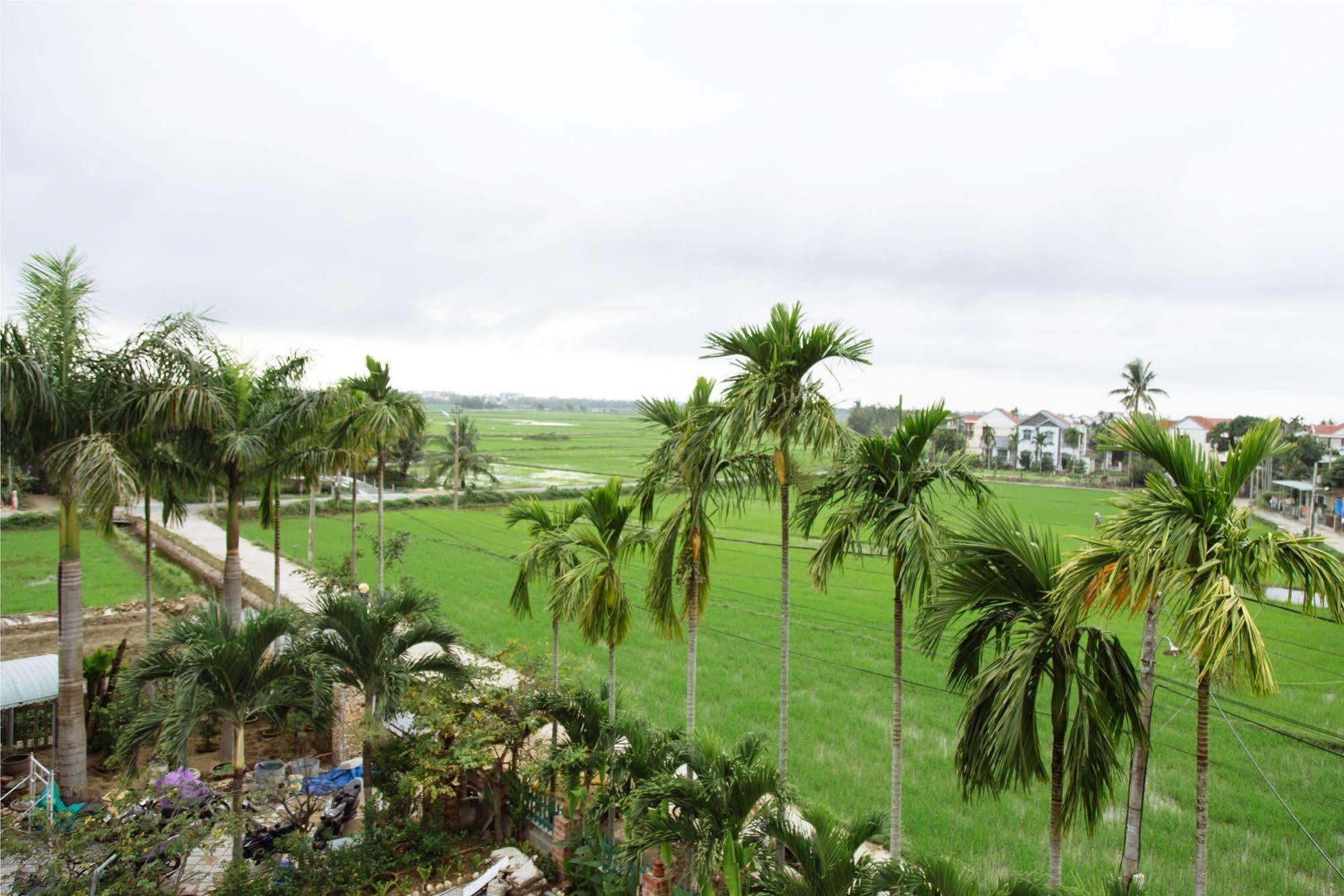 Hoi An Golden Rice Villa Εξωτερικό φωτογραφία